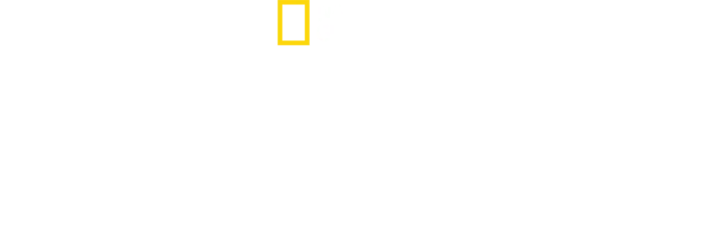 Nelítostné království