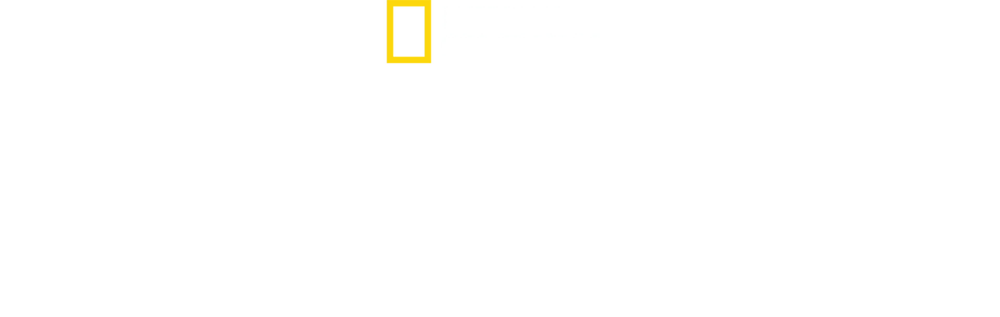 Nelítostné království