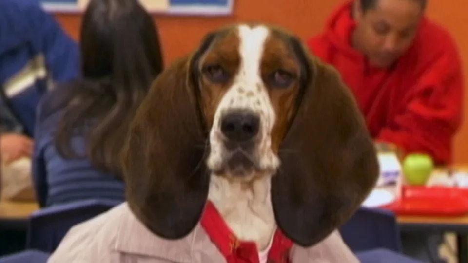 thumbnail - K1:J14 A Dog by Any Other Name