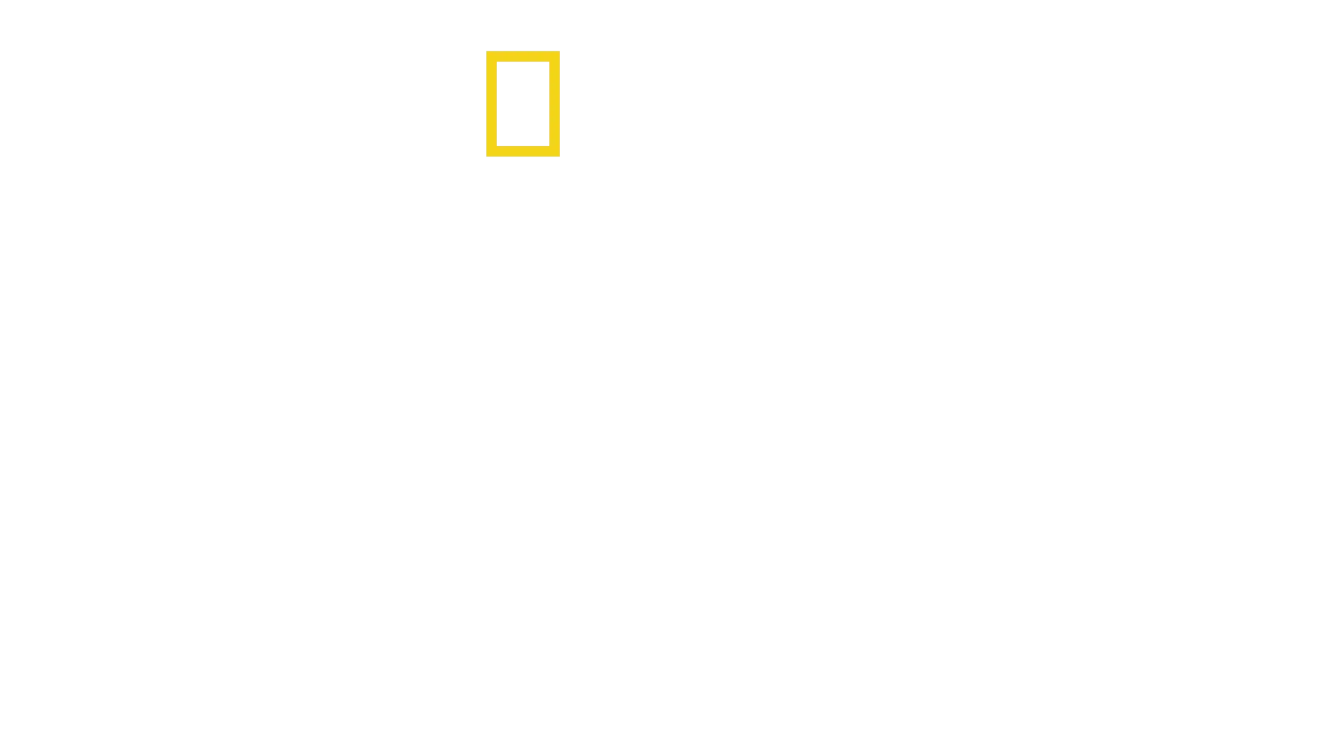 A bálnák titkai