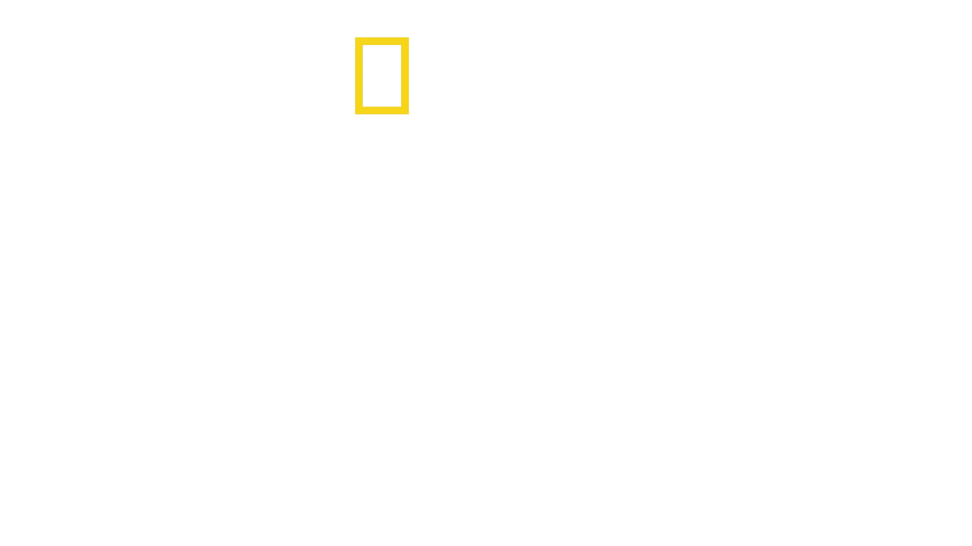 A bálnák titkai