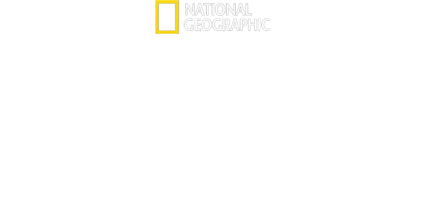 A bálnák titkai