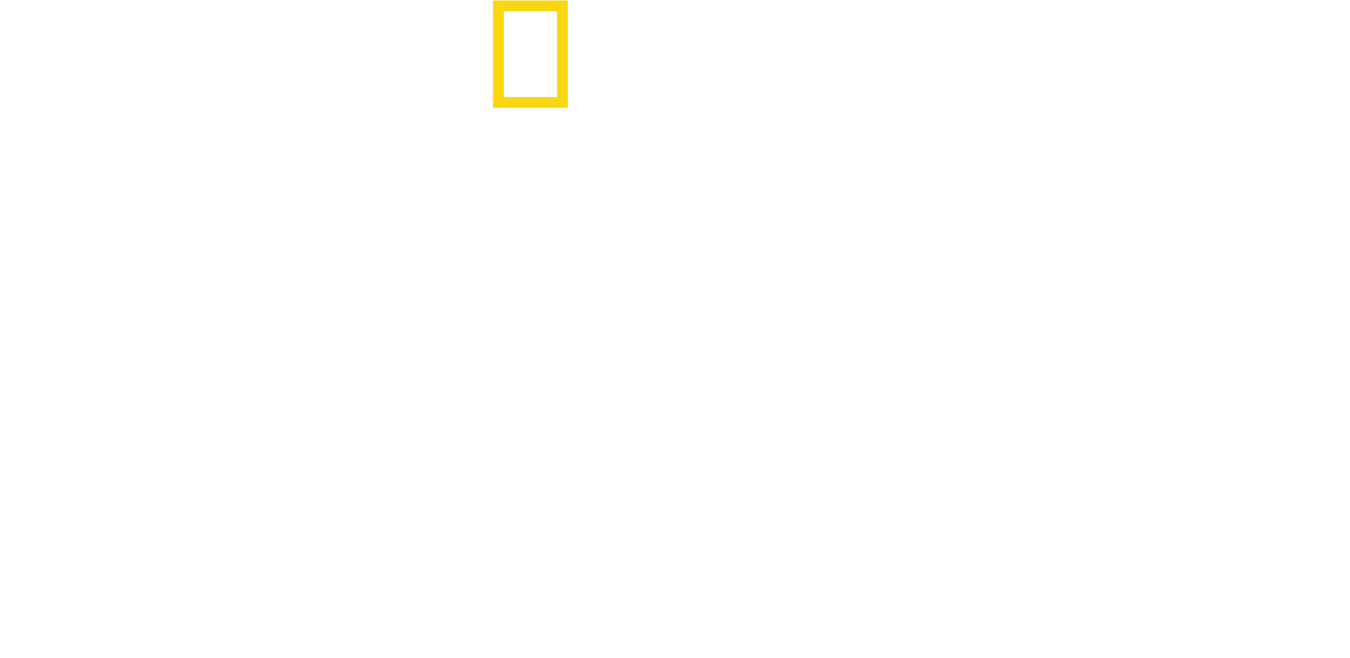 A bálnák titkai