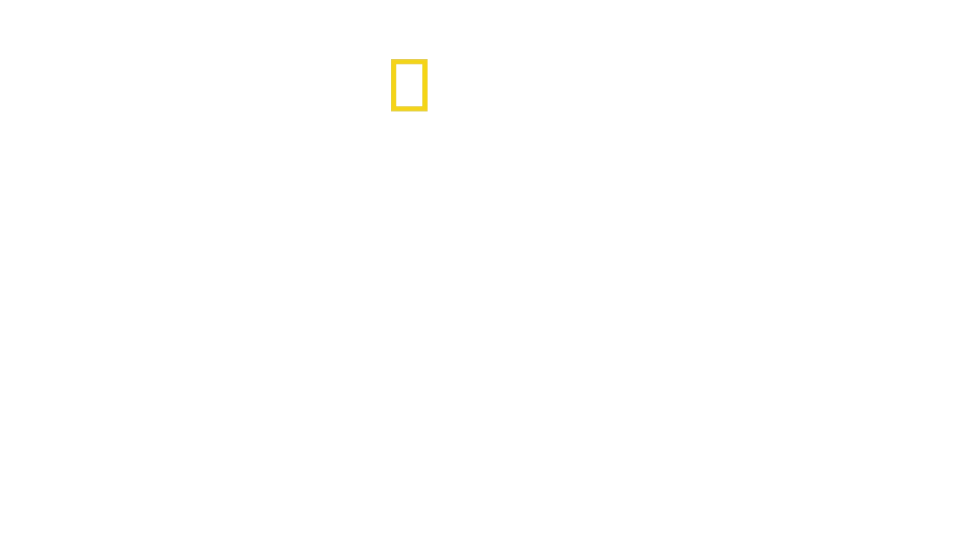Expédition Everest