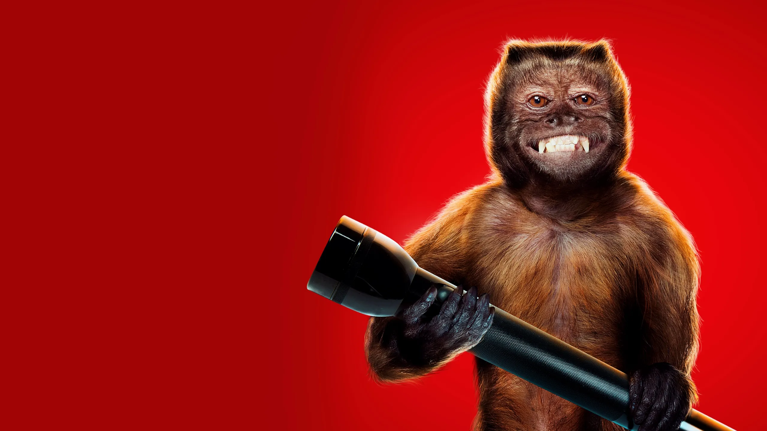 Noche en el Museo: El Secreto del Faraón