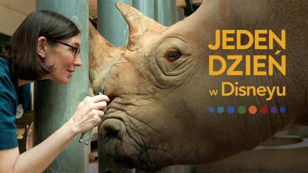 thumbnail - Jeden dzień w Disneyu