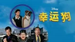 thumbnail - 幸运狗