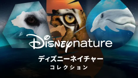 thumbnail - ディズニーネ⁠イ⁠チ⁠ャ⁠ー