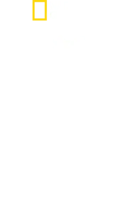 新空軍一號：空中堡壘