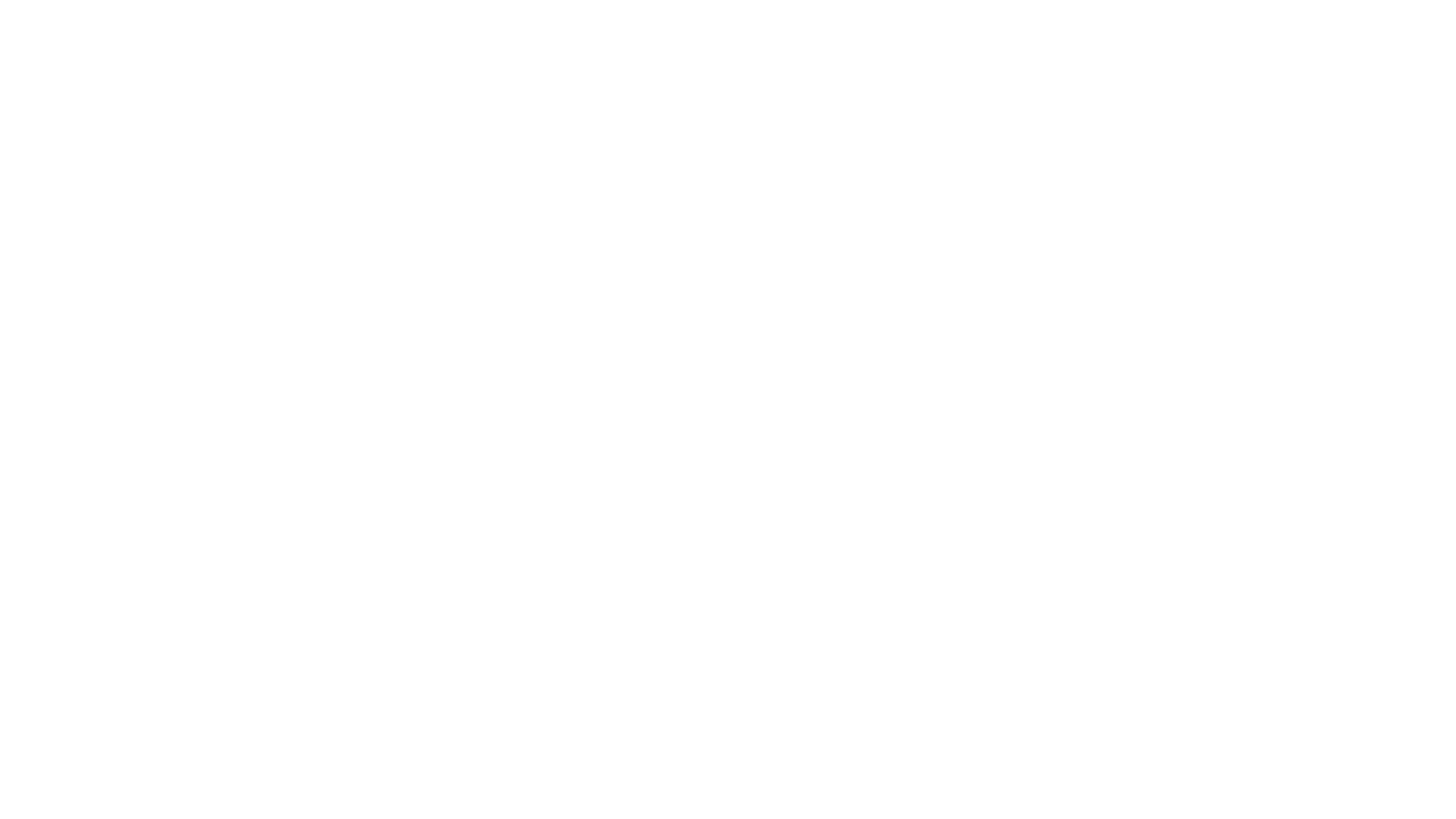 PHOENIX: EDEN17