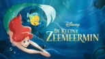 thumbnail - De Kleine Zeemeermin