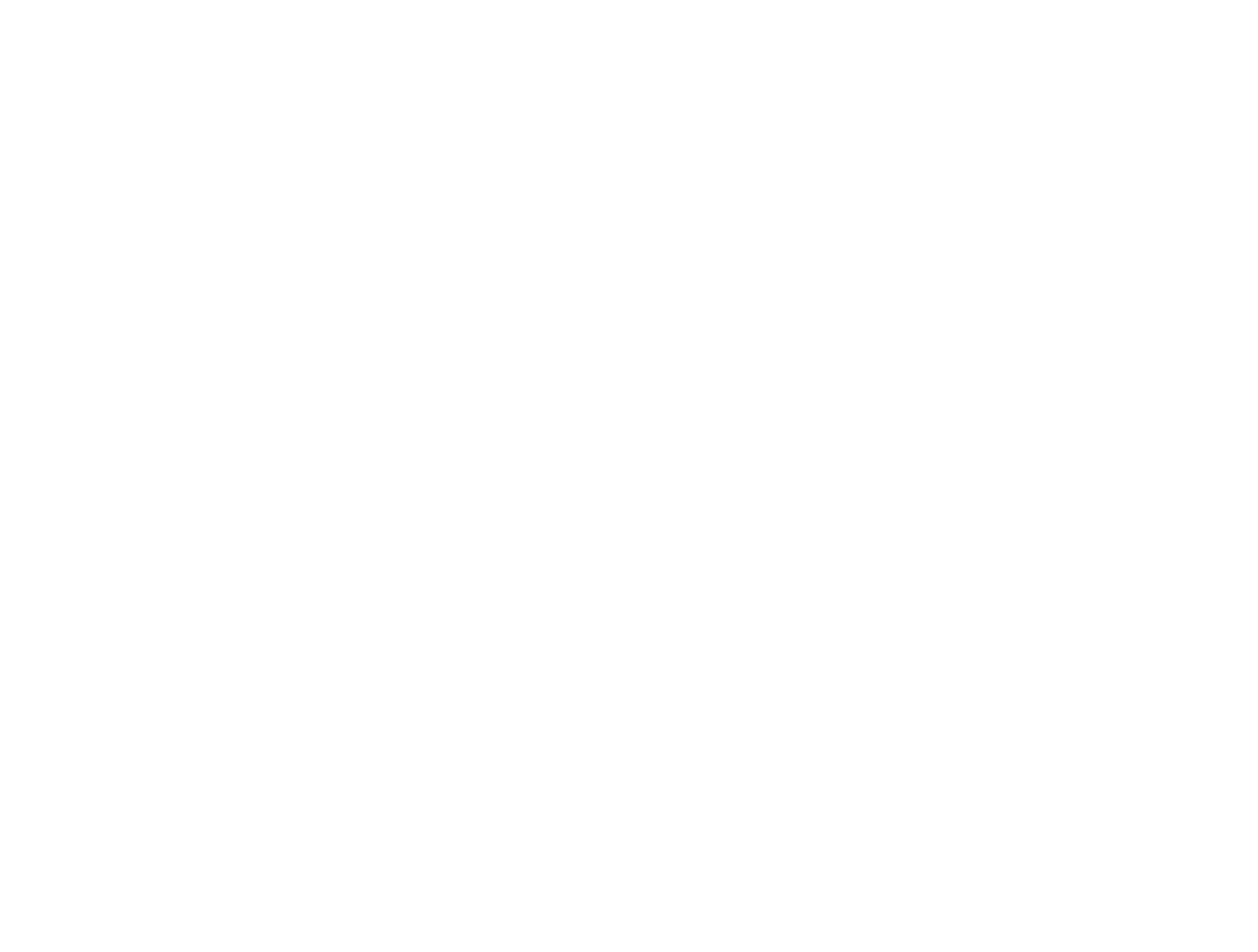 Winnie de Pluș
