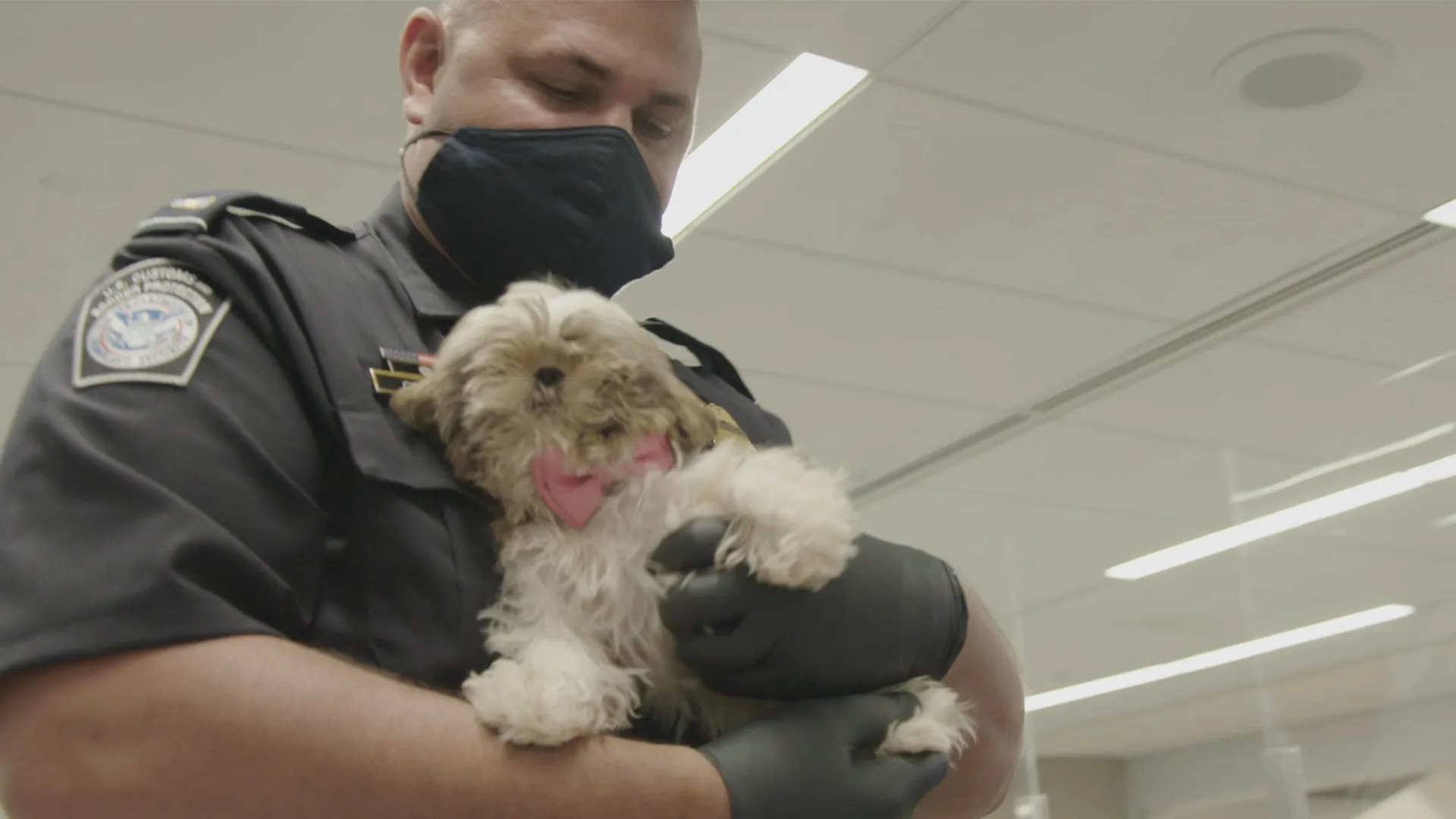thumbnail - S3:E1 Smuggled and Muzzled
