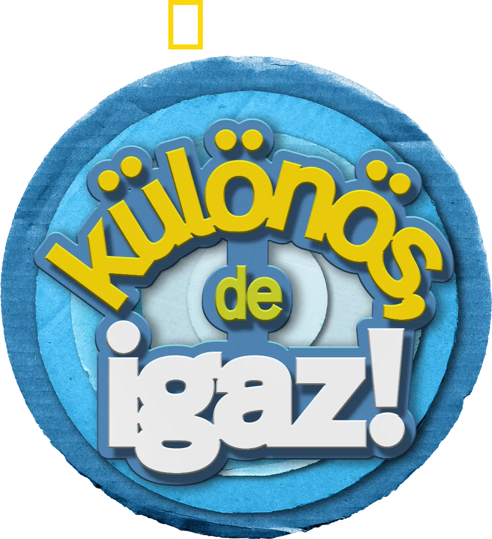 Különös, de igaz!