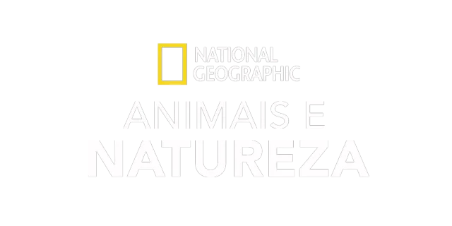 National Geographic: Animais e Natureza