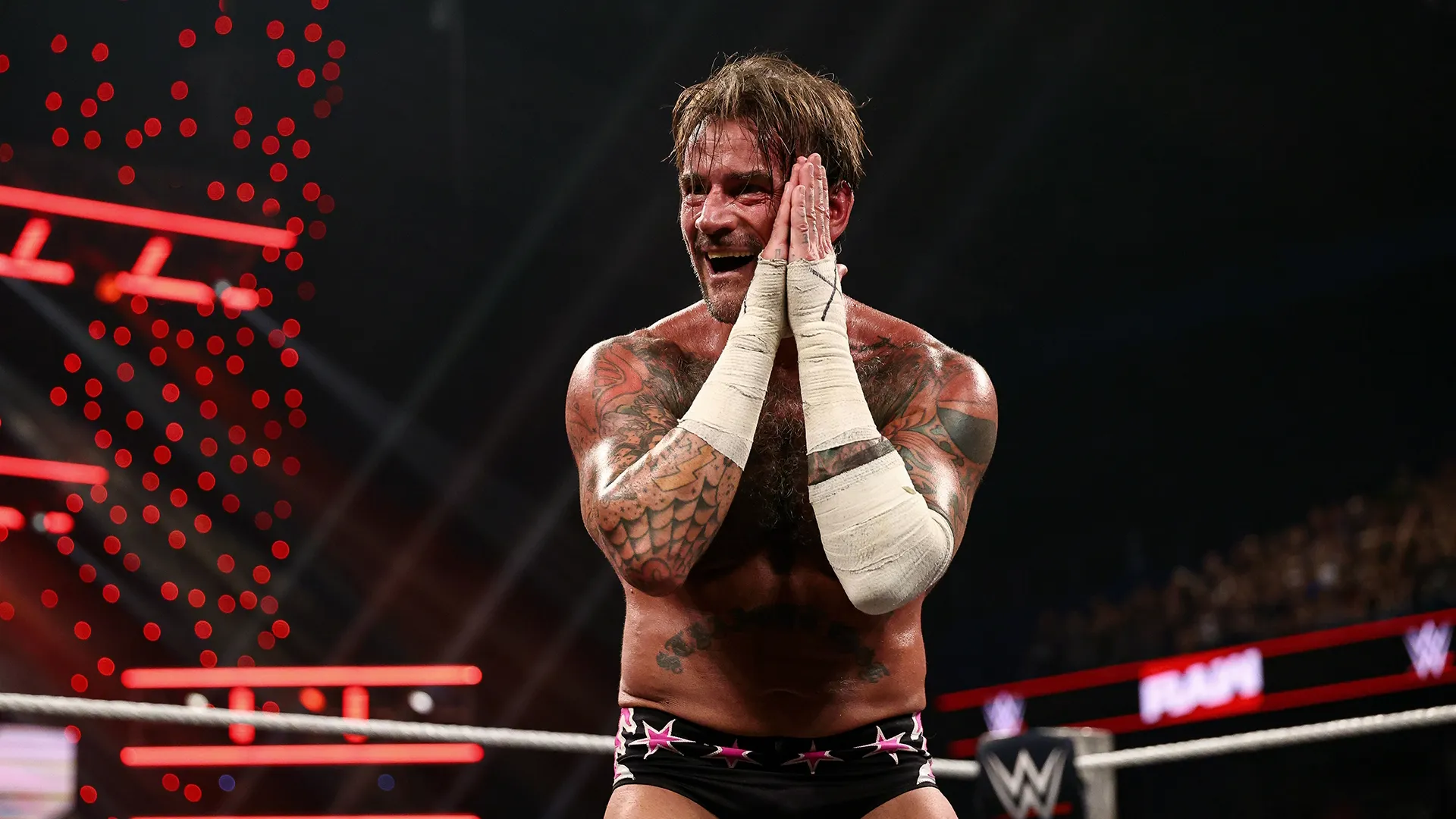 CM Punk