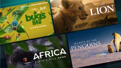A montage of four National Geographic nature documentary posters displayed on a blue background, featuring "A Real Bug's Life" narrated by Awkwafina, "Lion," "Growing Up Animal" narrated by Tracee Ellis Ross, and "Secrets of the Penguins."