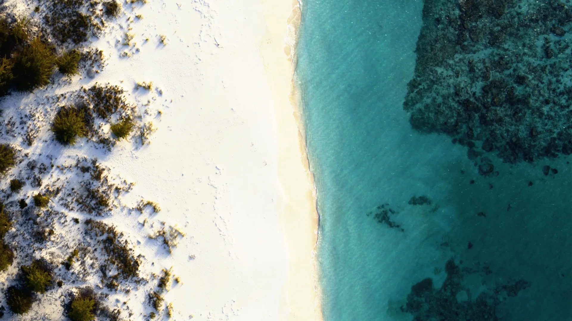 A pristine white beach meets the crystal clear ocean.