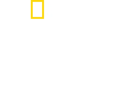 ジェンダー革命