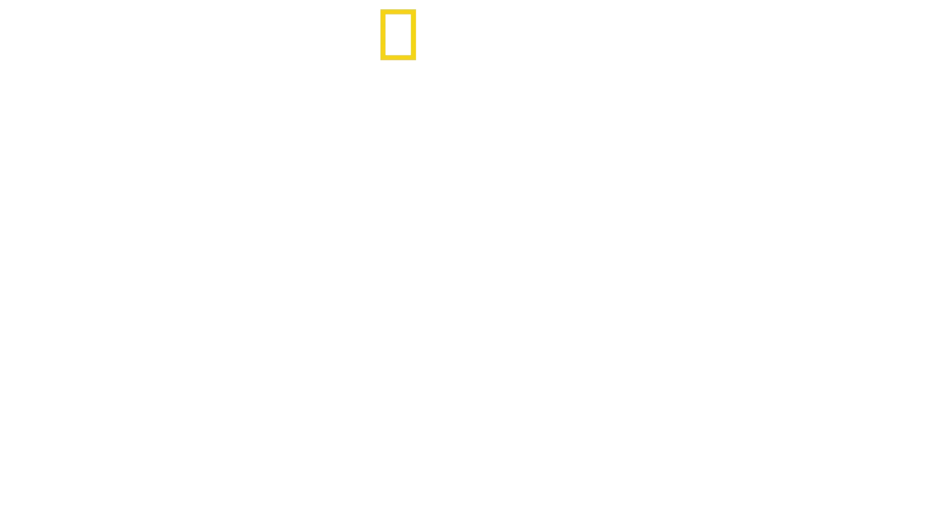 Destruction Decoded