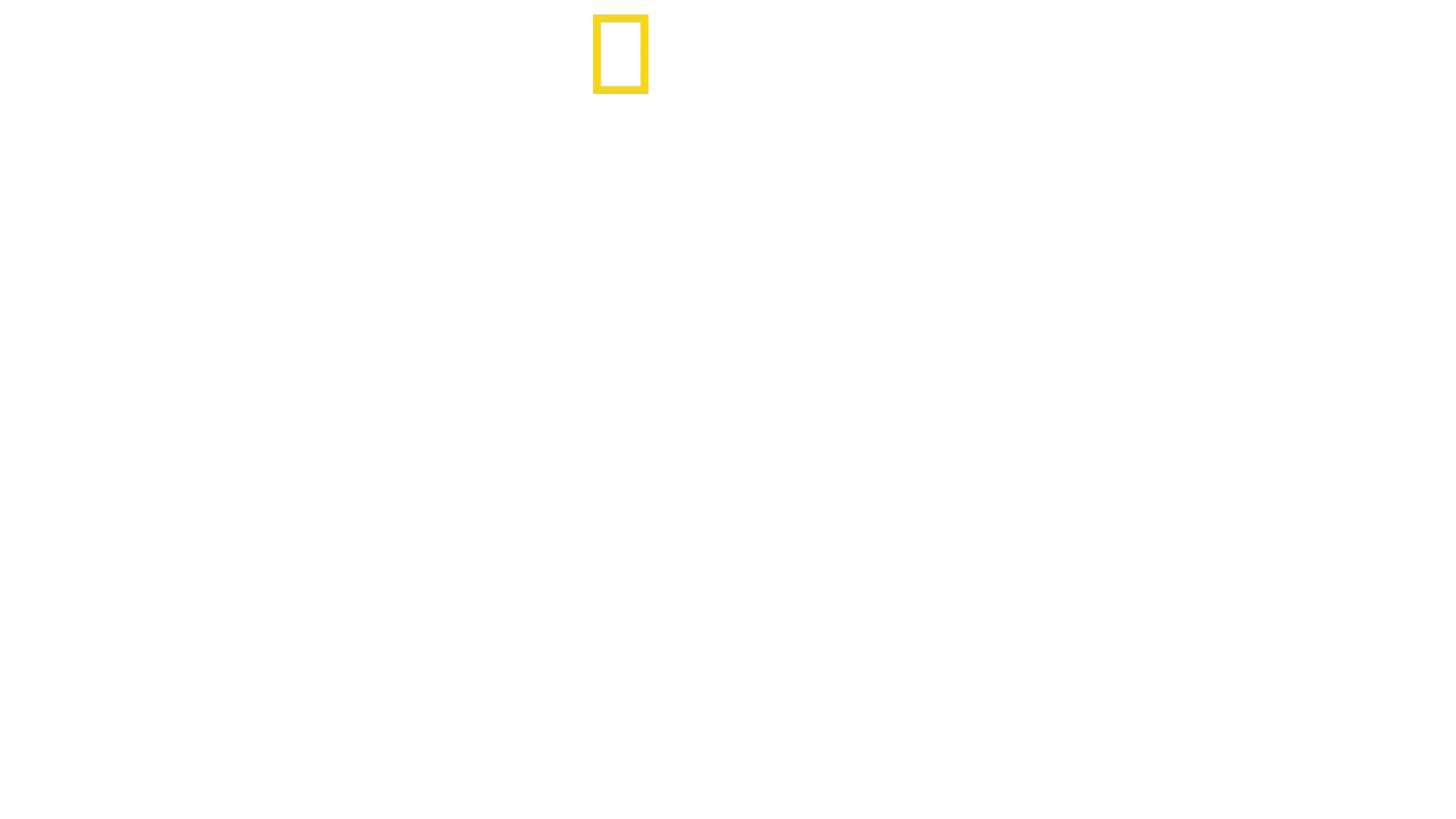 Destruction Decoded