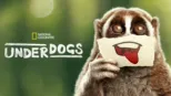 Underdogs