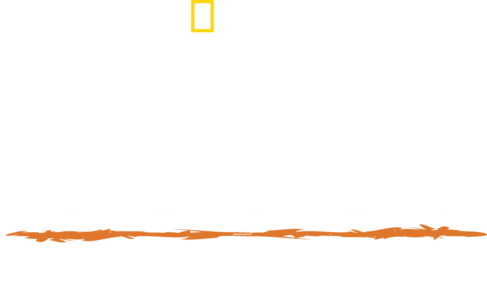 헤이즌 아델의 정글의 법칙: 안데스 너머로