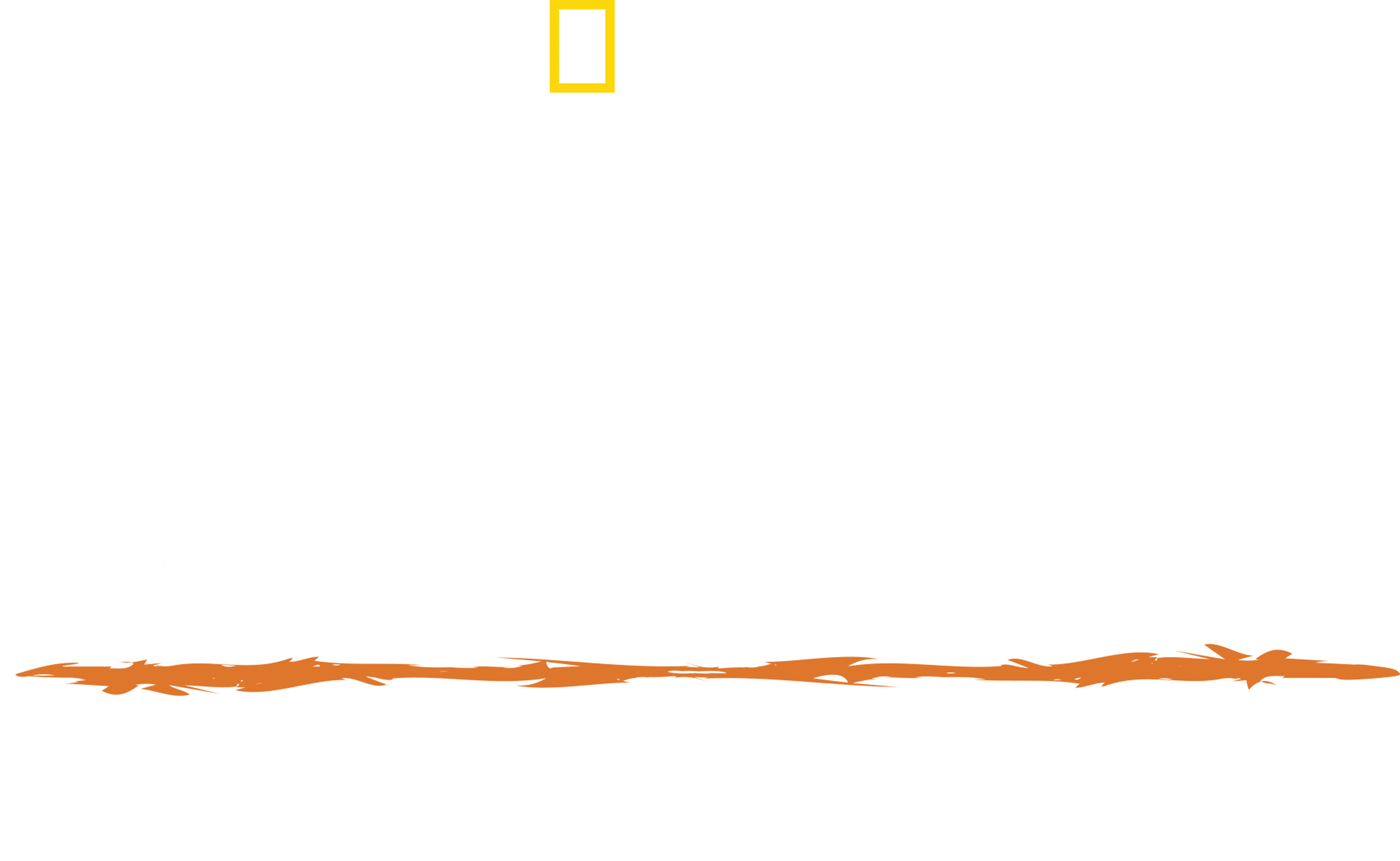 헤이즌 아델의 정글의 법칙: 안데스 너머로