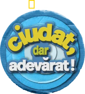 Ciudat, dar adevărat!