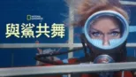 thumbnail - 與鯊共舞