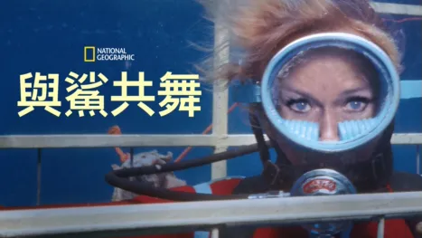 thumbnail - 與鯊共舞