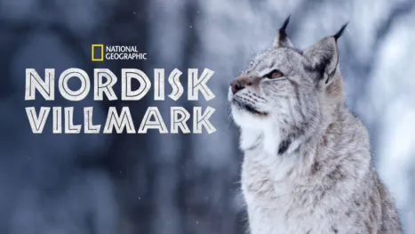 thumbnail - Nordisk villmark