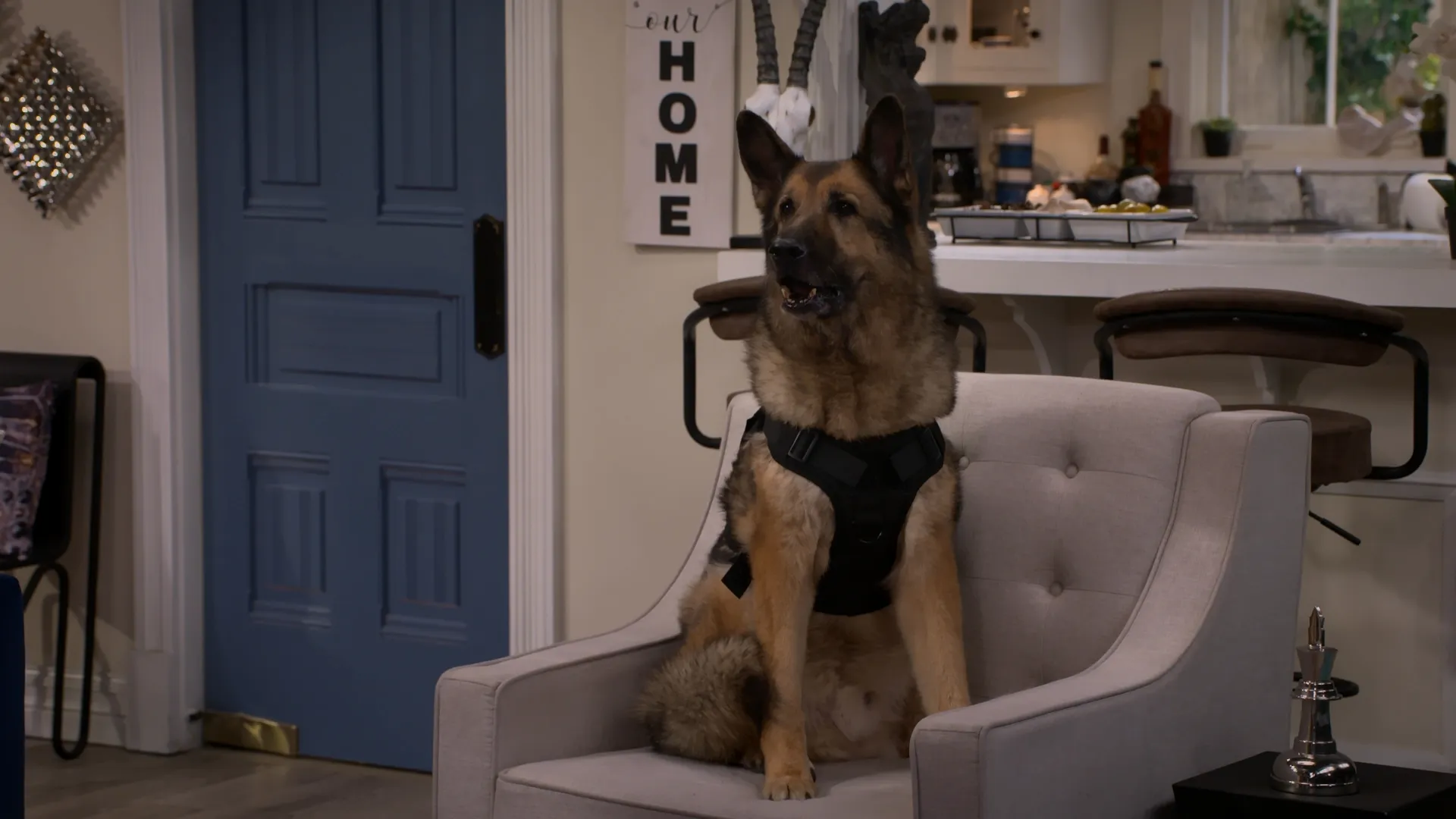 thumbnail - S2:E15 Guitar Hero