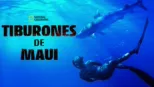 thumbnail - Tiburones de Maui