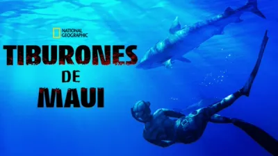 Tiburones de Maui