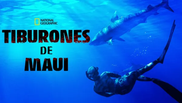thumbnail - Tiburones de Maui