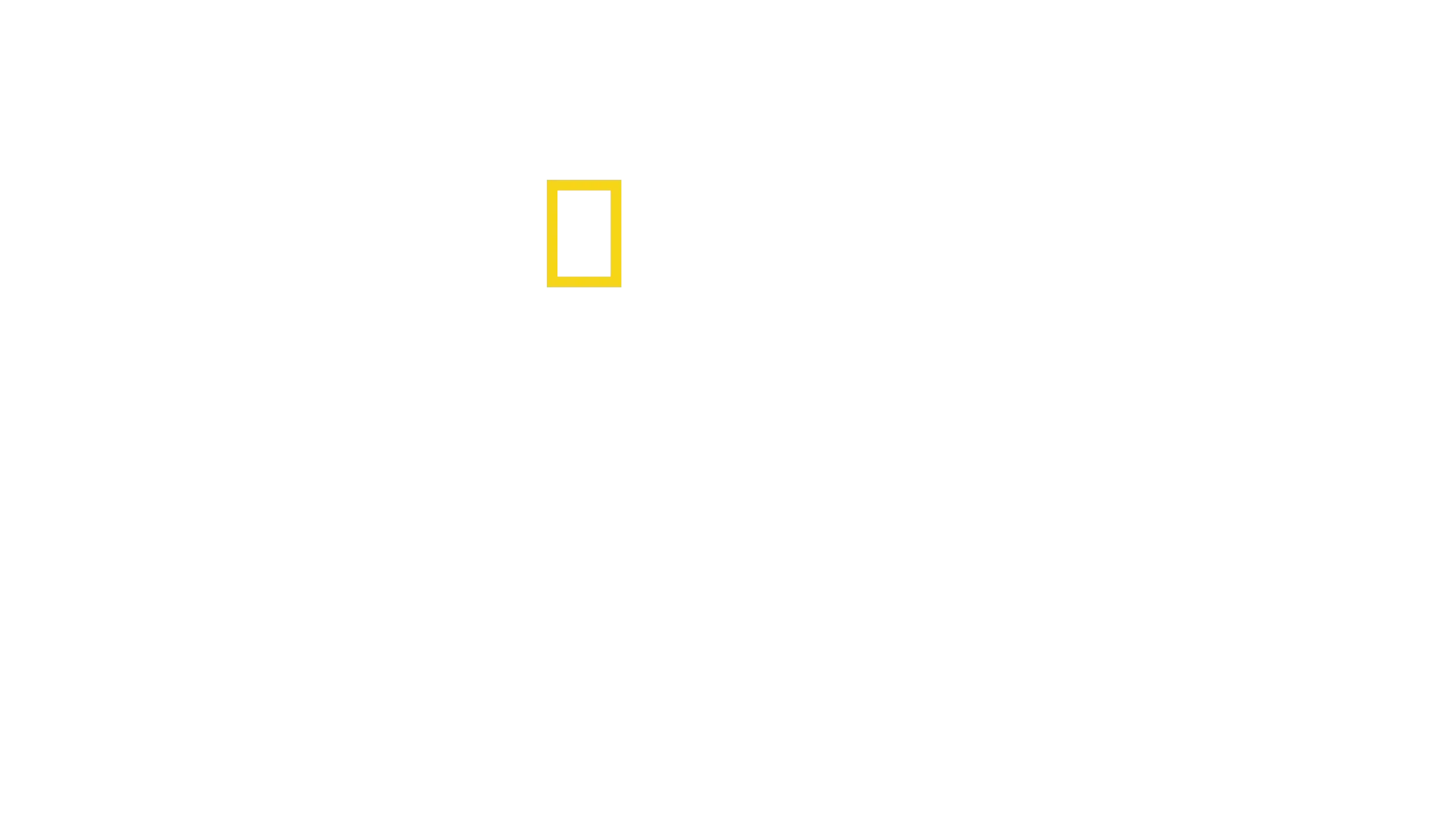 Γνωρίστε Τους Χιμπατζήδες