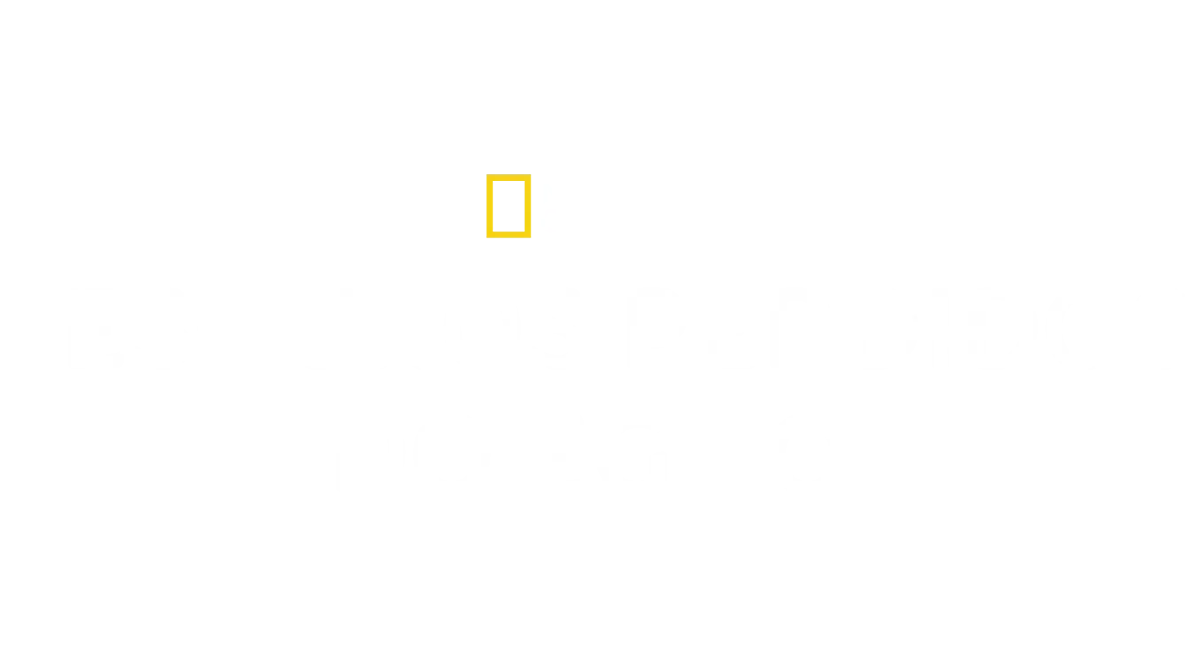 Tesouros Perdidos do Egito