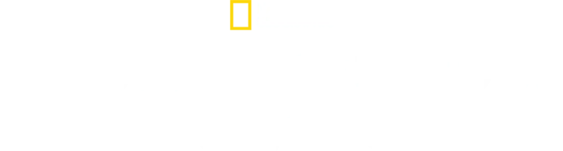 Tesouros Perdidos do Egito
