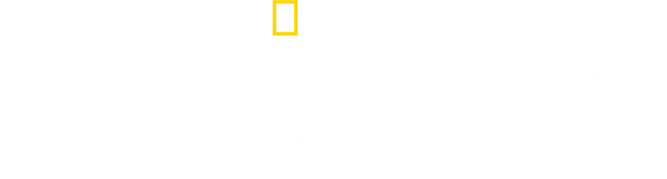 Tesouros Perdidos do Egito