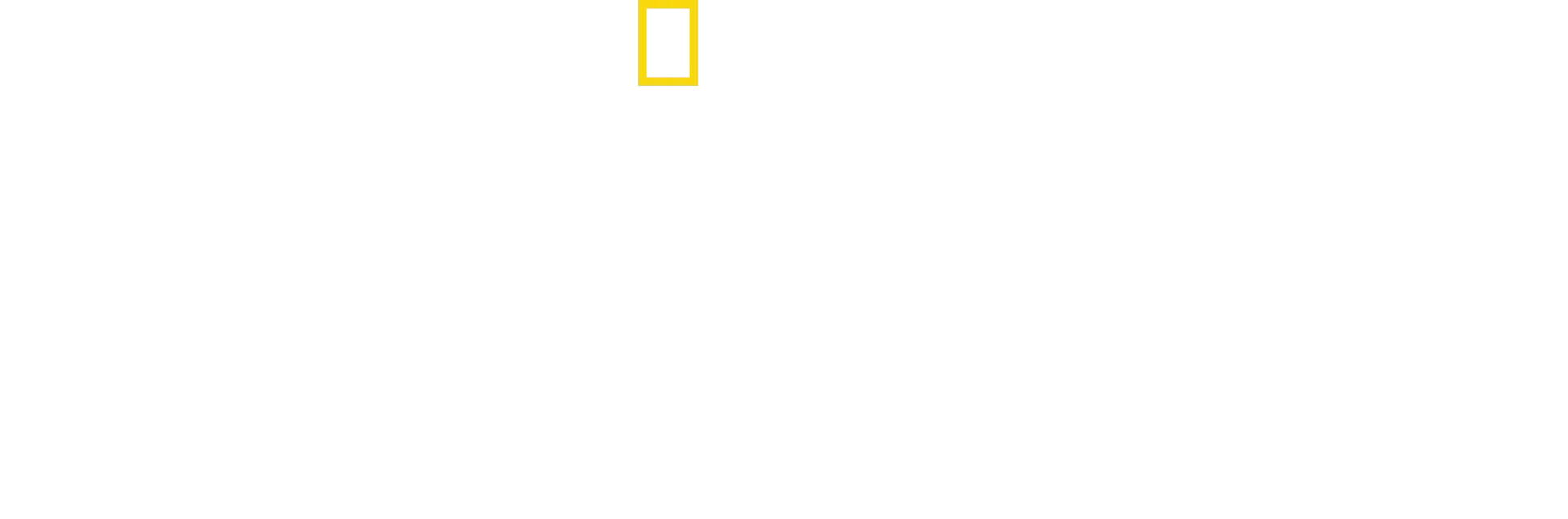 Animal Fight Night