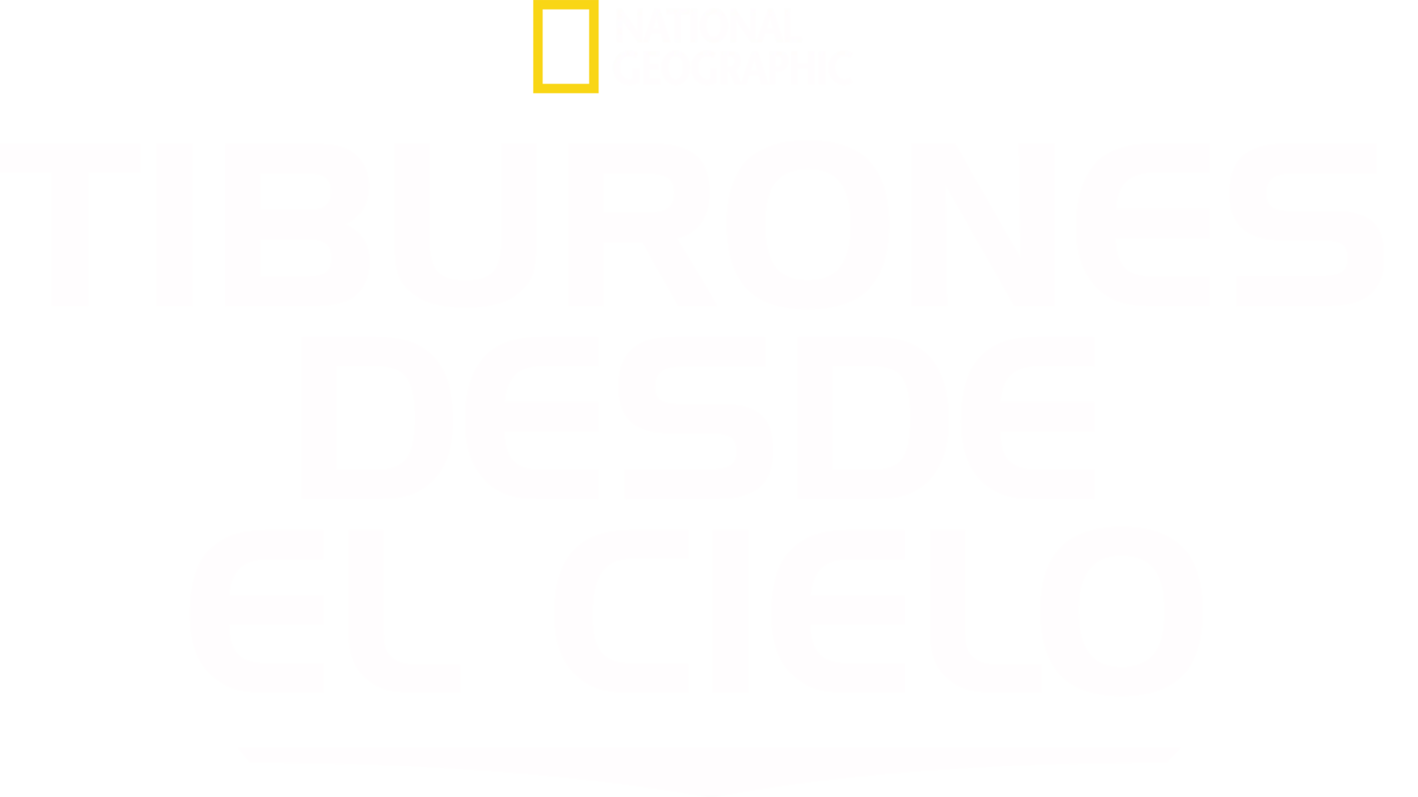 Tiburones desde el Cielo