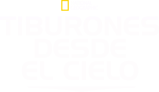 Tiburones desde el Cielo