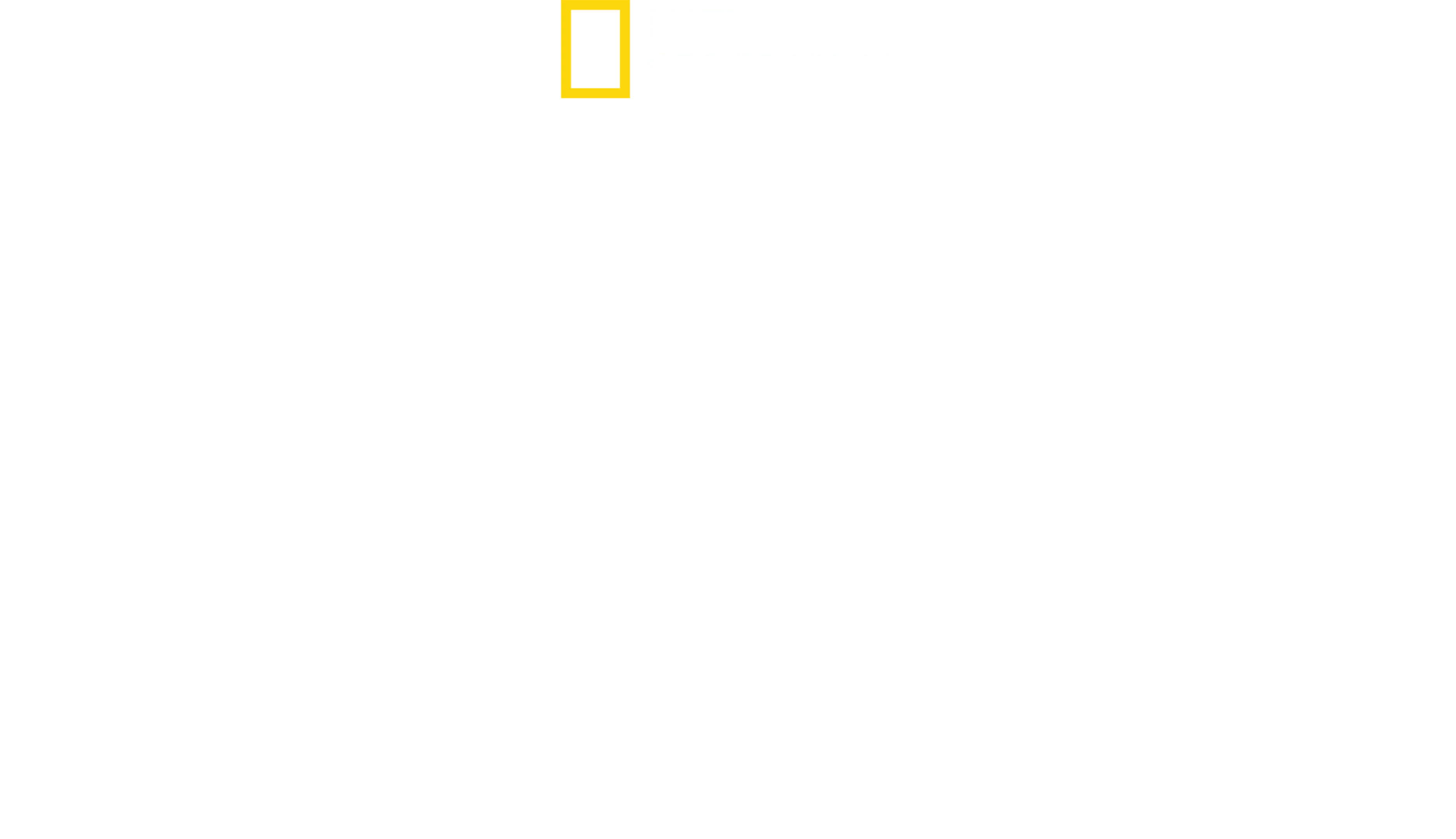 Tiburones desde el Cielo