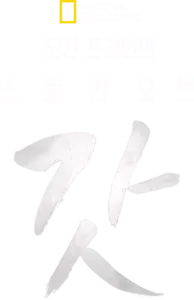 모건 프리먼의 스토리 오브 갓