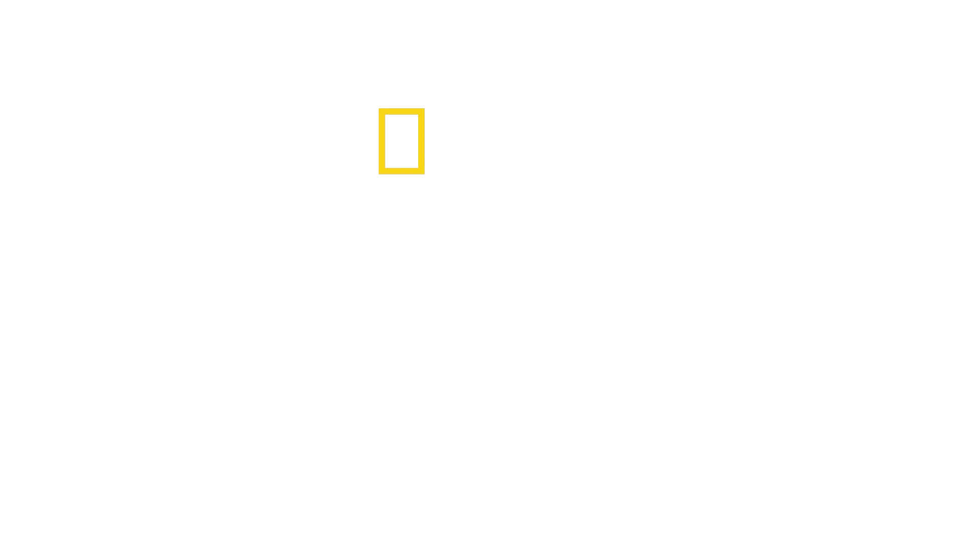 Origins: The Journey of Humankind