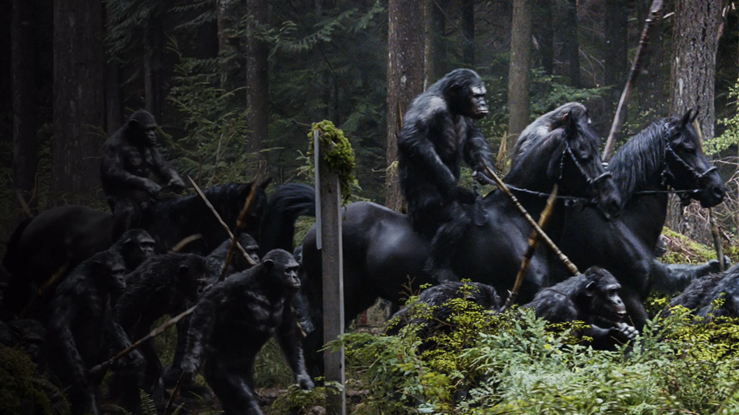 Dawn of the Planet of the Apes