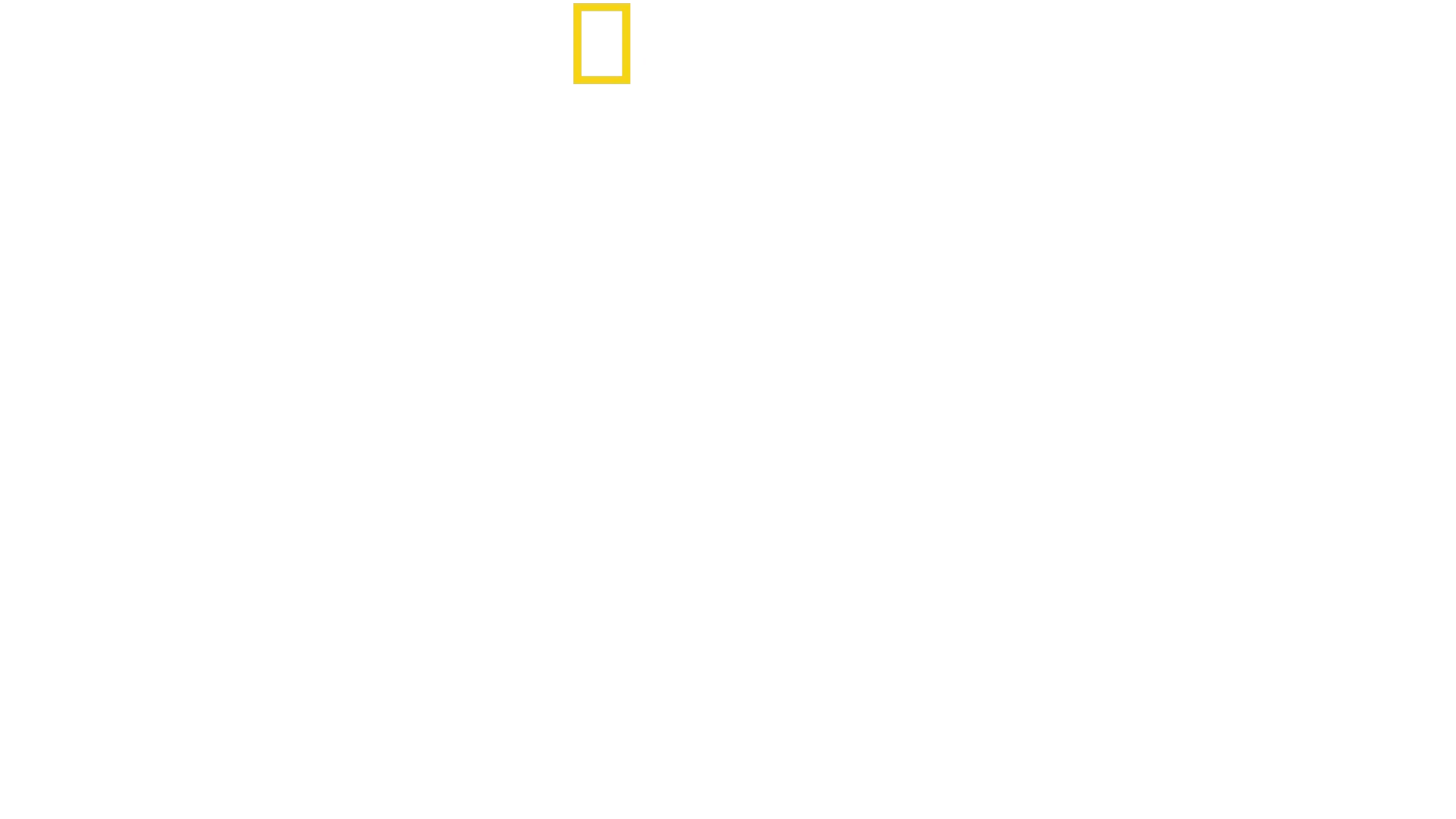 Lawless Island