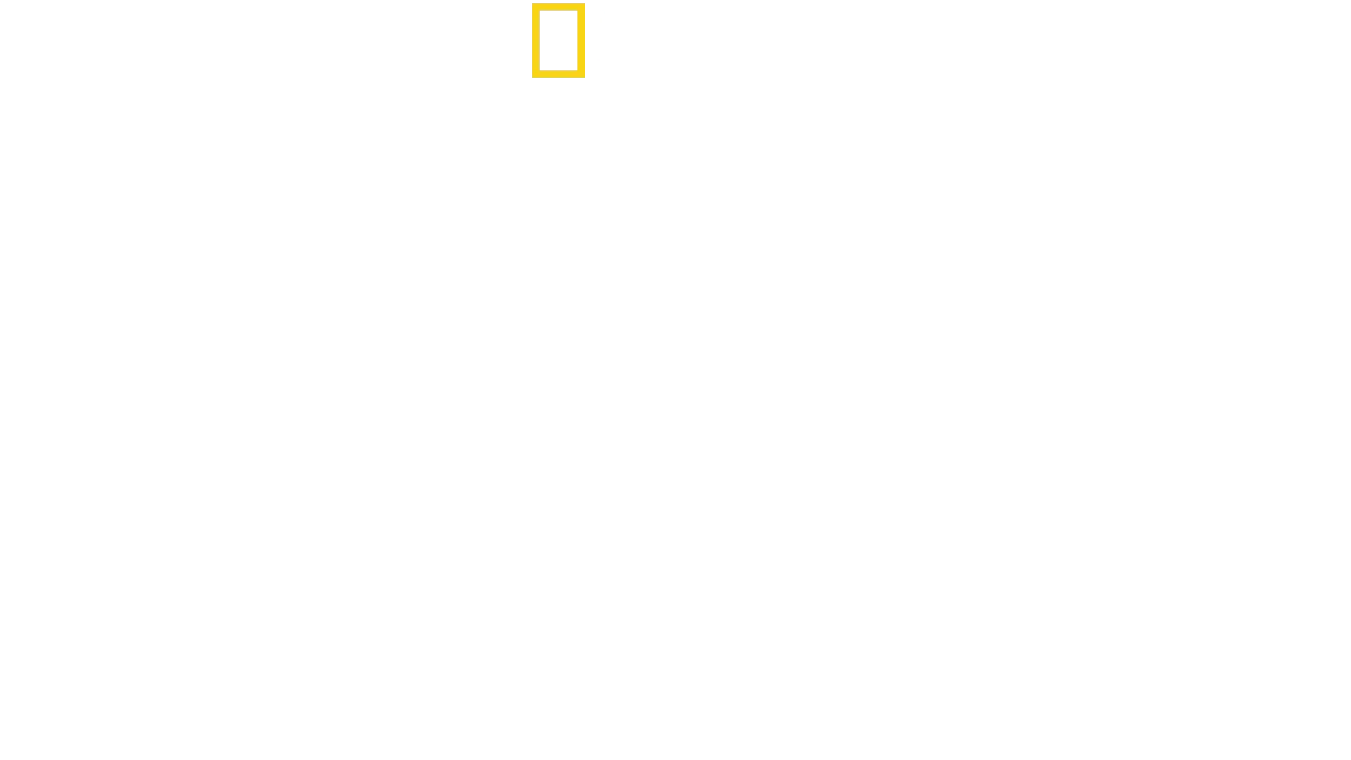 Lawless Island