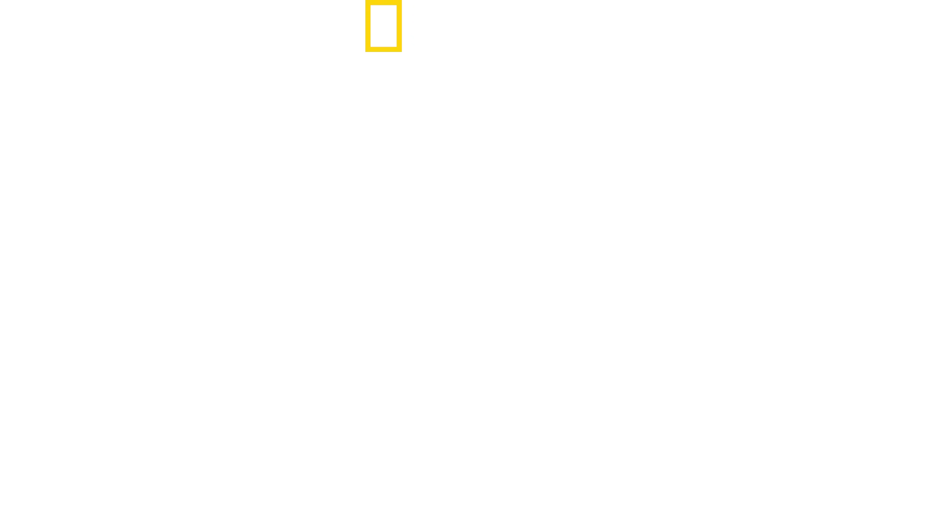 Lawless Island